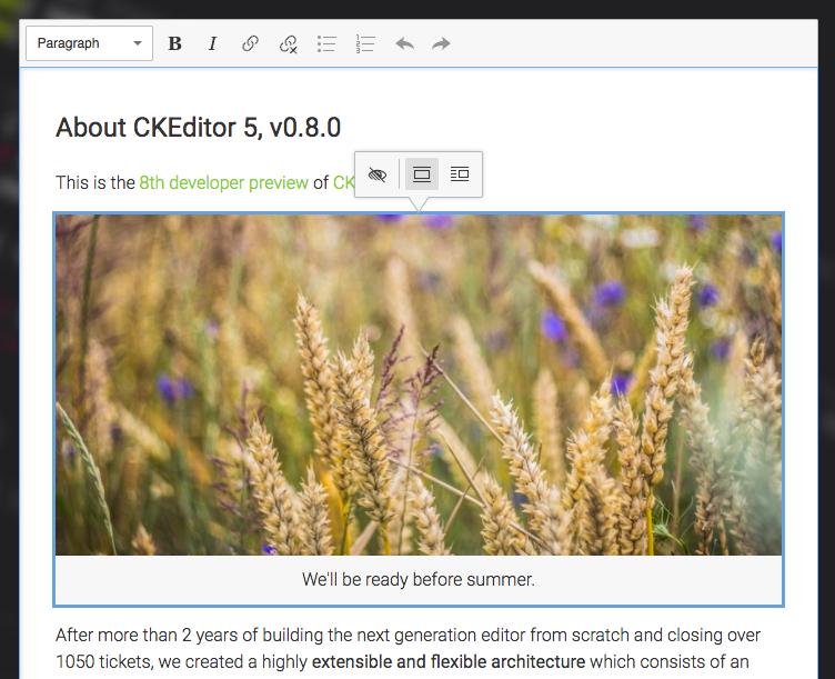 CKEditor 5 v0.8.0 focus on text alternative icon 