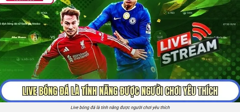 Live bóng đá 1gom