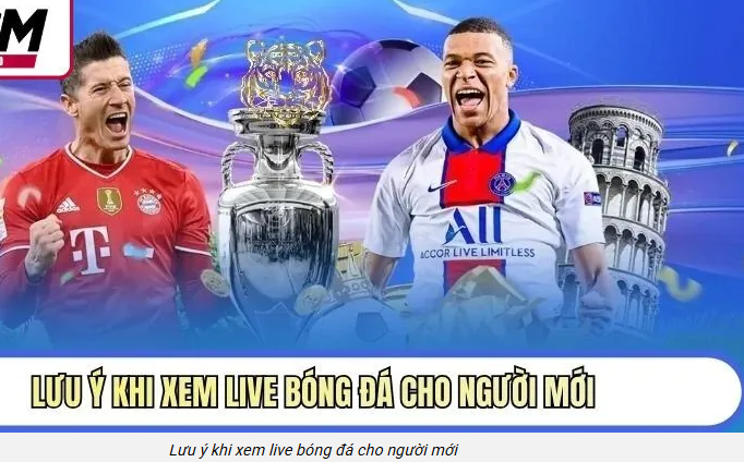 Live bóng đá 1gom