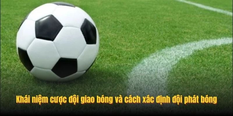 Khái niệm cược đội giao bóng và cách xác định đội phát bóng