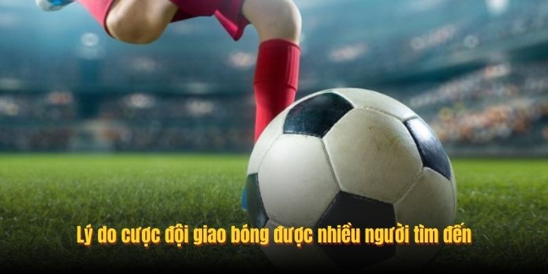 Lý do cược đội giao bóng được nhiều người tìm đến