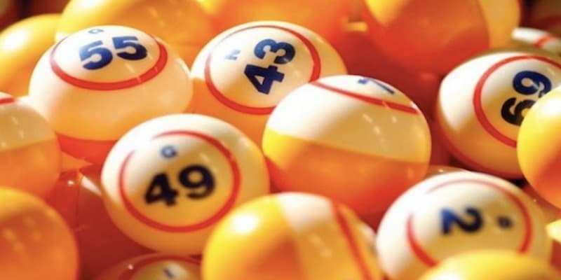 Giới thiệu về bạch thủ lô