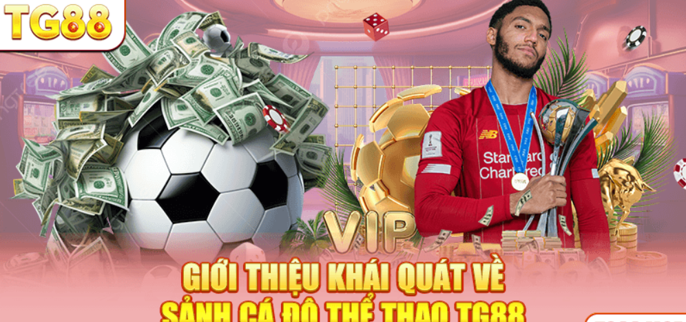 Thể thao TG88