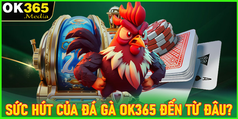 Ưu Thế Vượt Trội Của Sảnh Đá Gà OK365