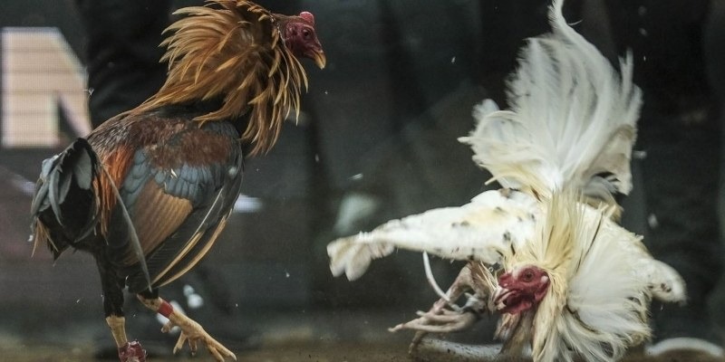 Xem xét vấn đề khi mua bán bên ngoài