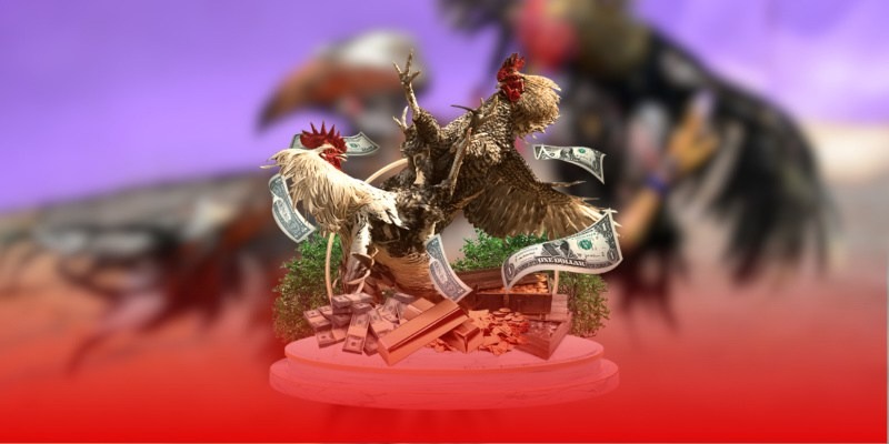 789F cam kết đường truyền không giật lag