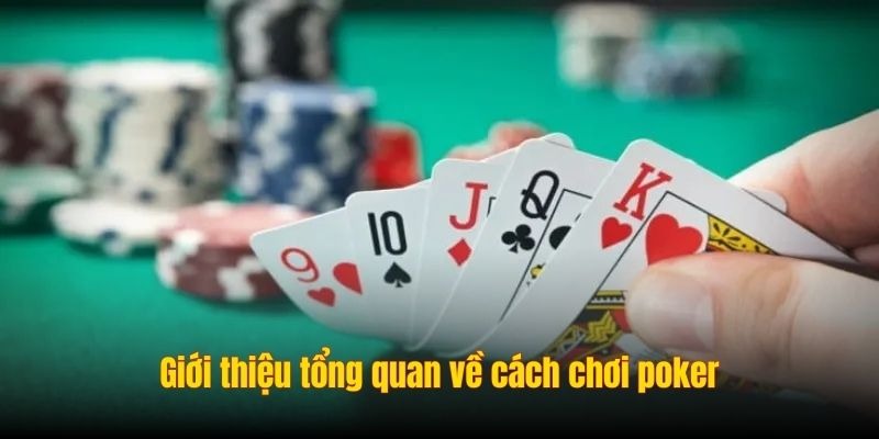 Giới thiệu tổng quan về cách chơi poker