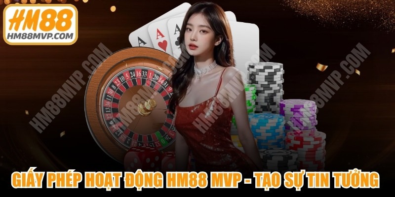 Giấy Phép Hoạt Động HM88 MVP