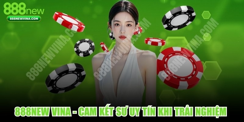 888NEW VINA
