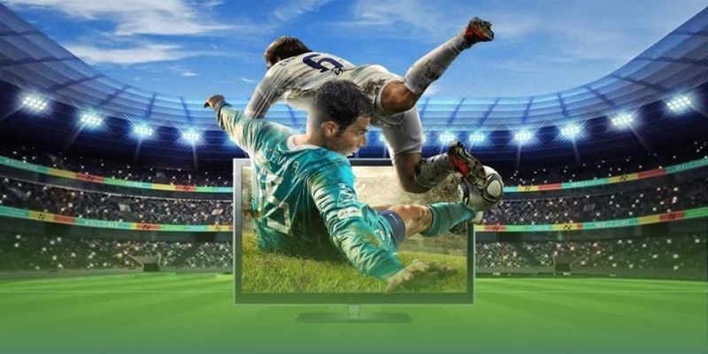 Khái niệm cơ bản về odds Indonesia trong cá độ bóng đá