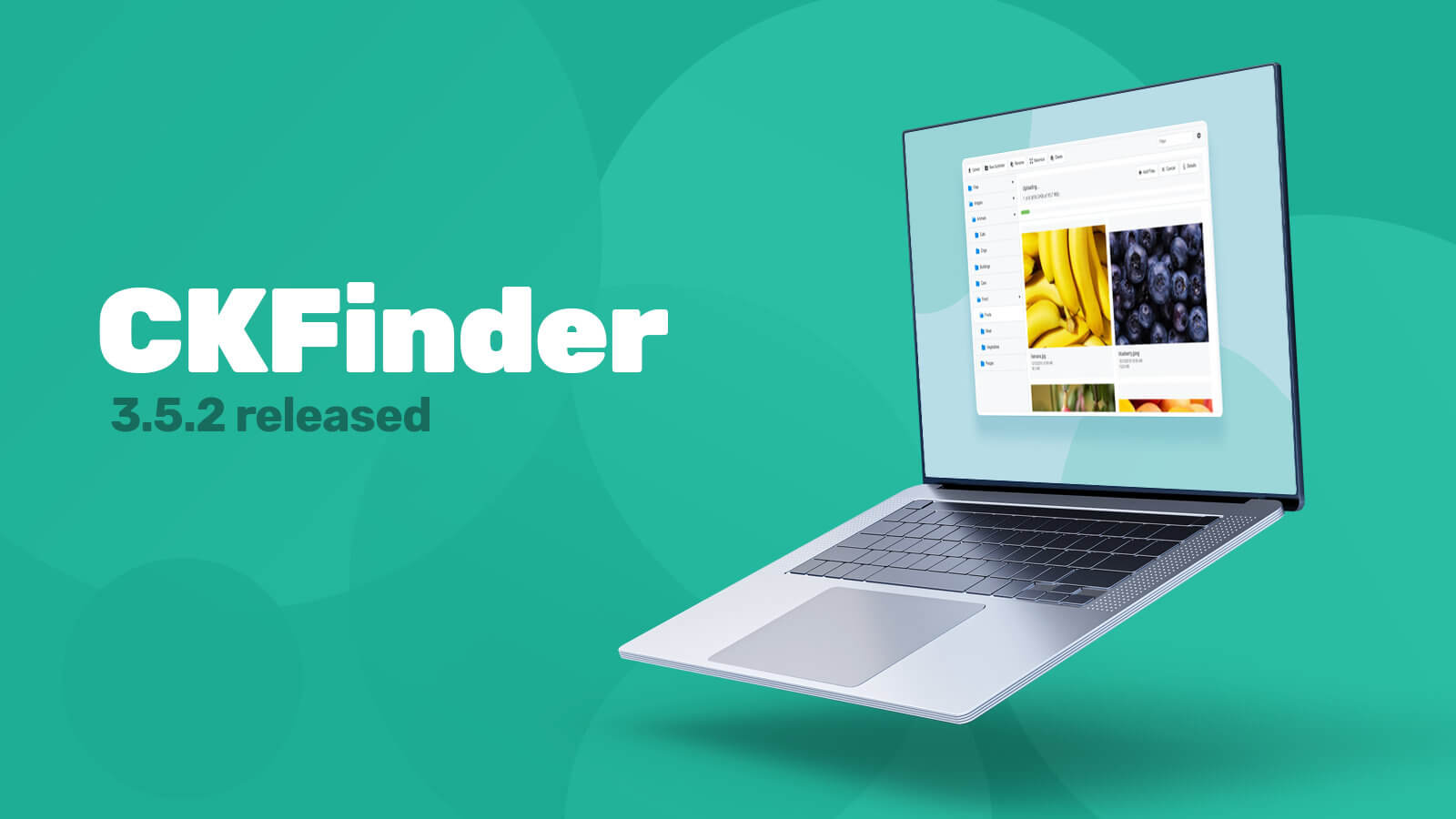 CKFinder 3.5.2 released