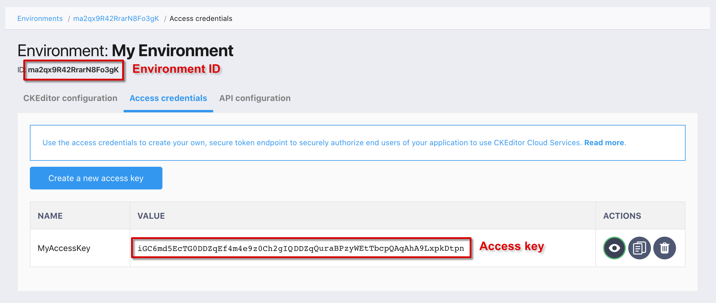 Access keys list with visible key.