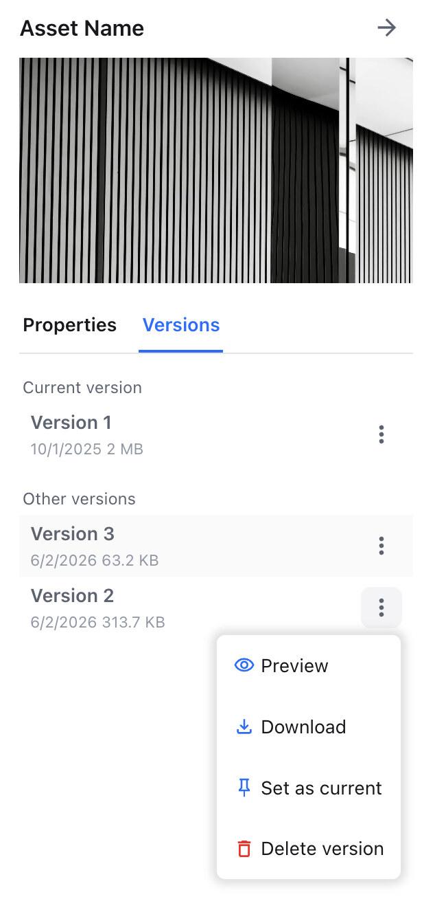 Asset versioning panel showing the list of historical revisions.