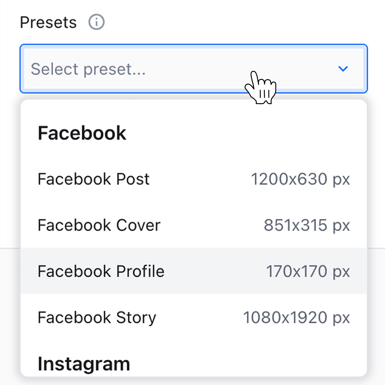Social networks crop presets.
