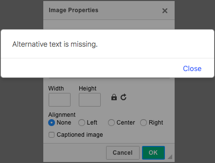 Alternative text required by the Enhanced Image dialog