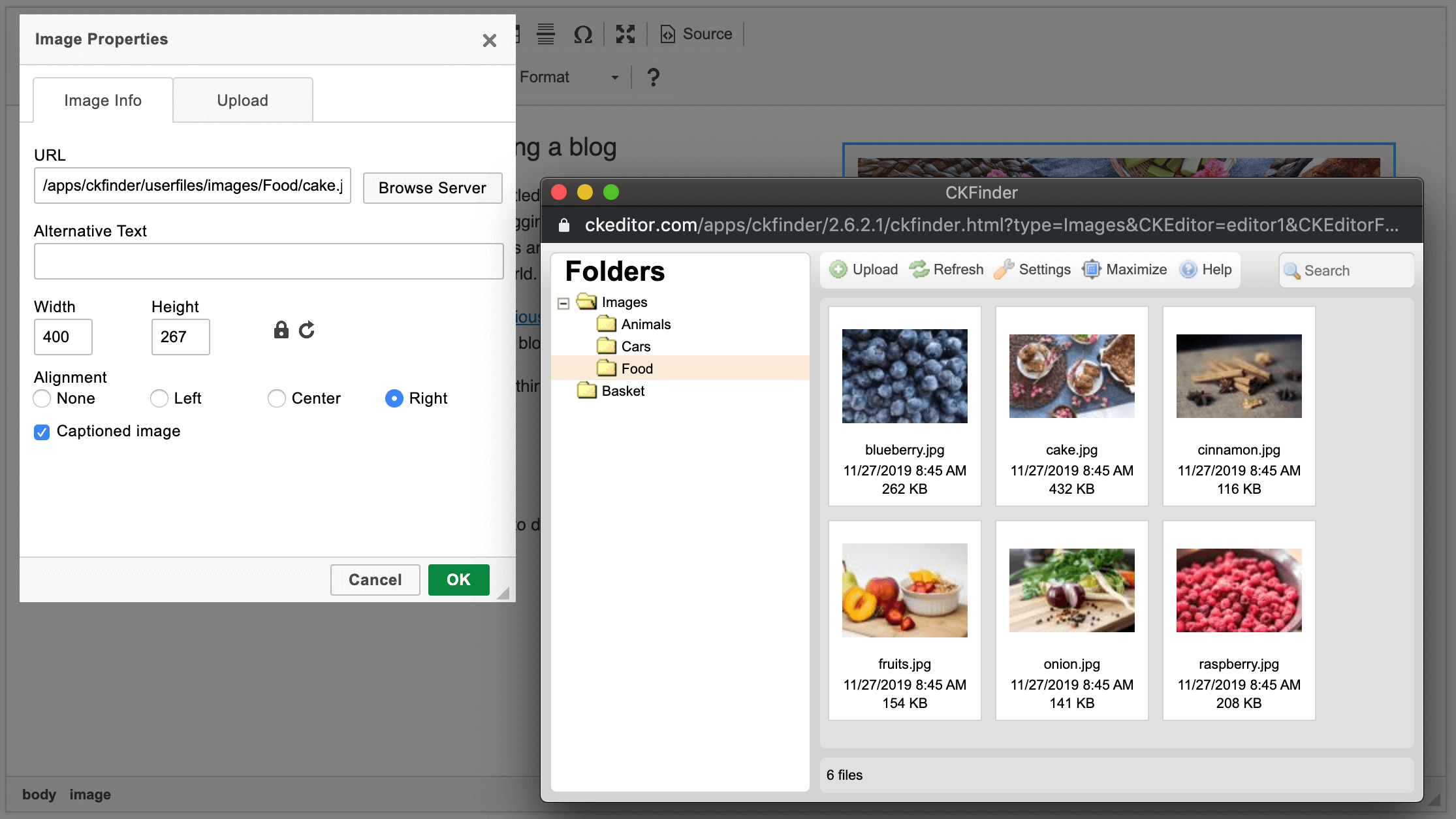 CKFinder 2 file manager integrated with CKEditor 4 WYSIWYG editor