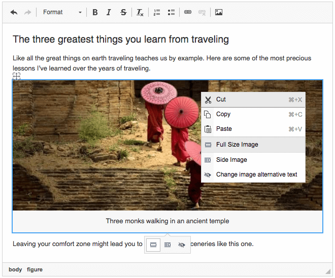 Easy Image styles in the balloon toolbar and context menu