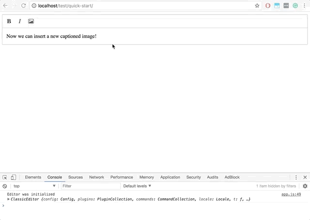 Screencast of inserting a new image with a caption.