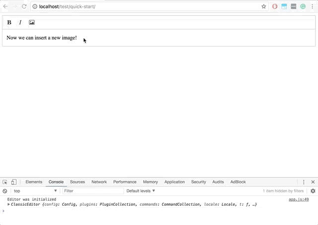 Screencast of inserting a new image.